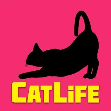 BitLife Cats游戏图标