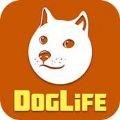 DogLife游戏图标