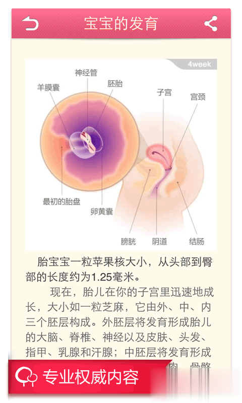 快乐孕期软件截图2