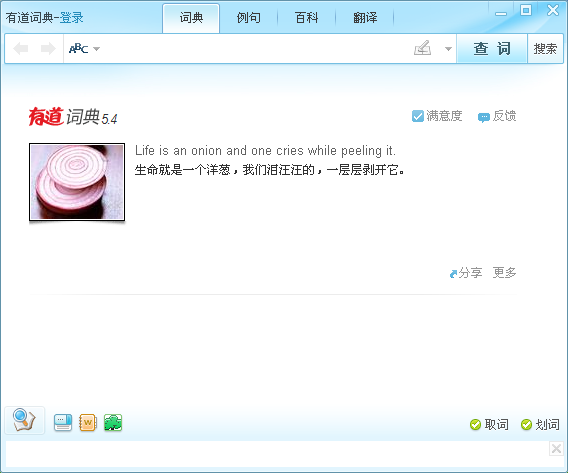 有道词典纯净版软件截图1