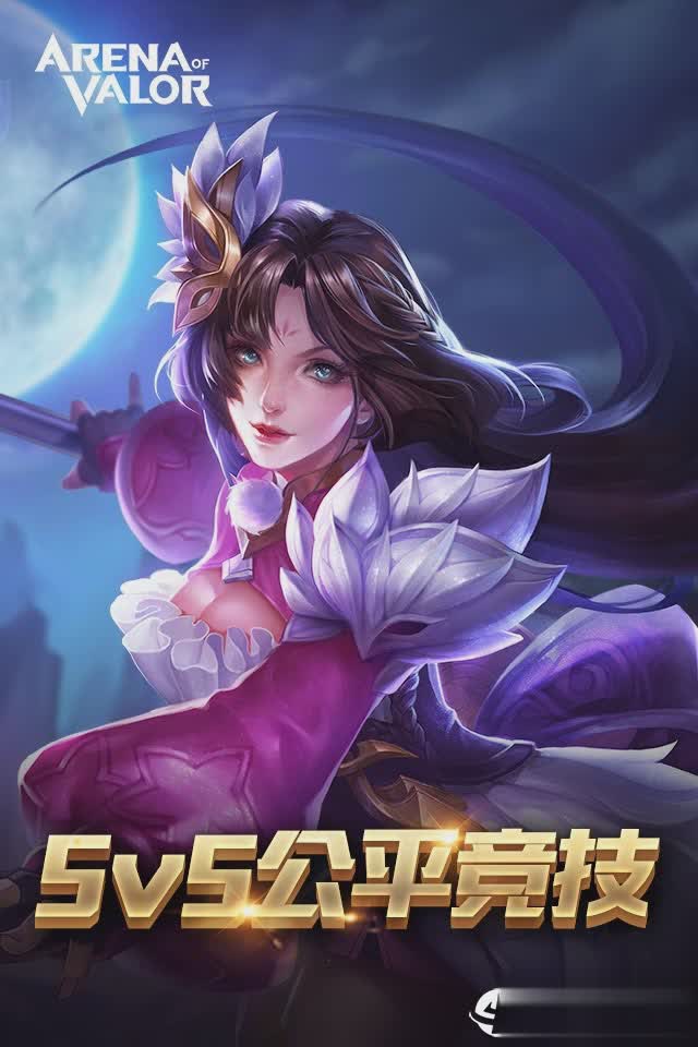 Arena of valor体验服游戏截图3