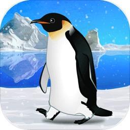 治愈的养成企鹅(penguin)游戏图标