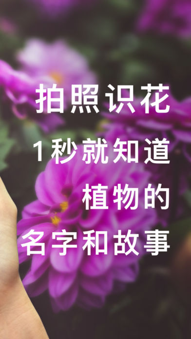 形色识花免费软件截图3