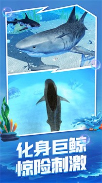 海底生存大猎杀中文版游戏截图2