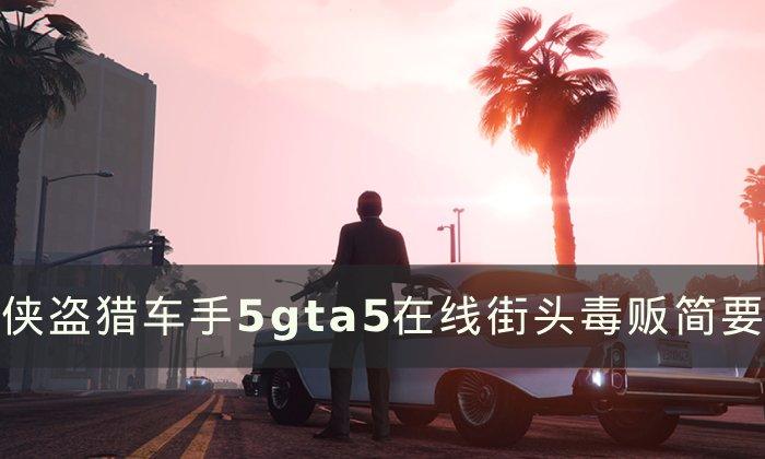 《侠盗猎车手5》街头毒贩有什么功能 gta5在线街头毒贩简要